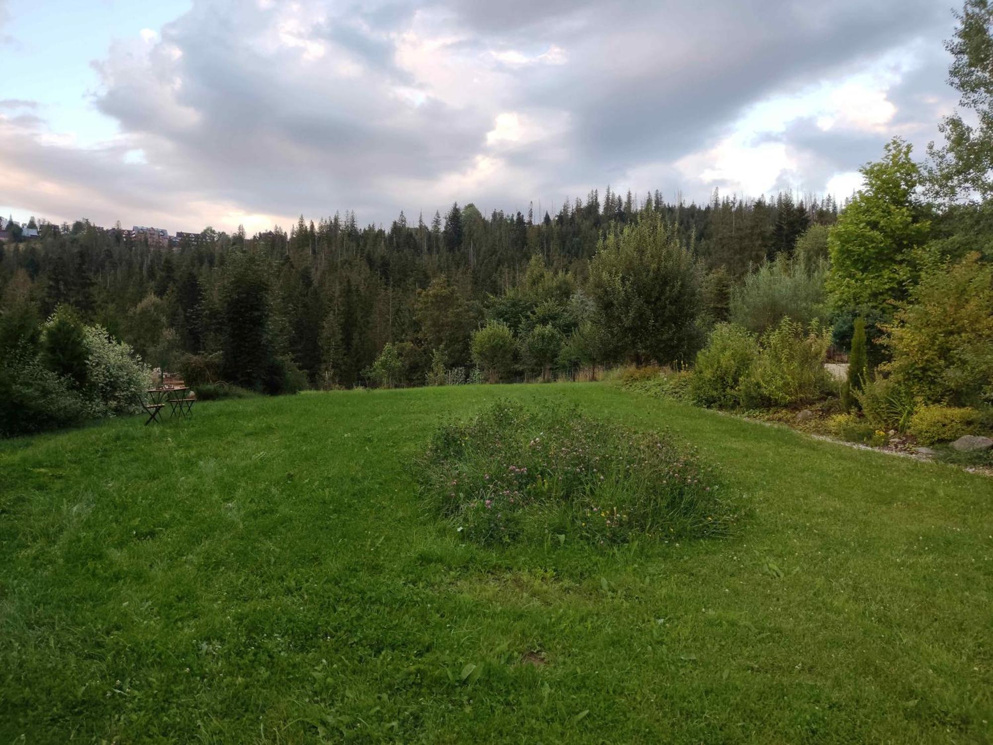 Prymulka Otel Zakopane Dış mekan fotoğraf