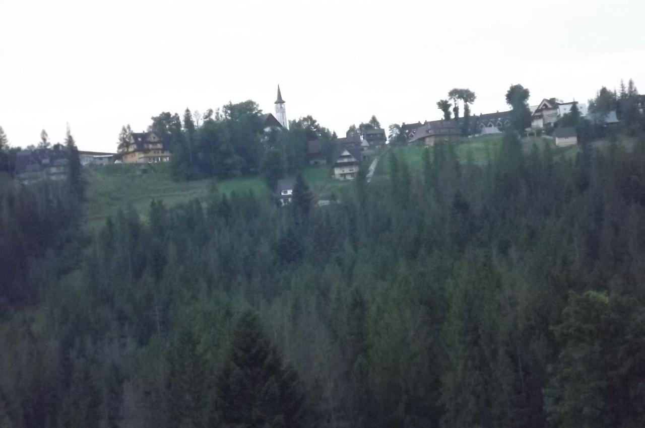 Prymulka Otel Zakopane Dış mekan fotoğraf